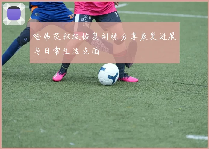 哈弗茨积极恢复训练分享康复进展与日常生活点滴