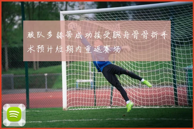 狼队多赫蒂成功接受腕舟骨骨折手术预计短期内重返赛场