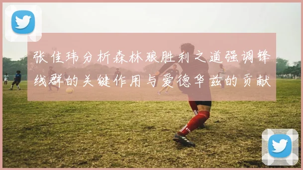 张佳玮分析森林狼胜利之道强调锋线群的关键作用与爱德华兹的贡献
